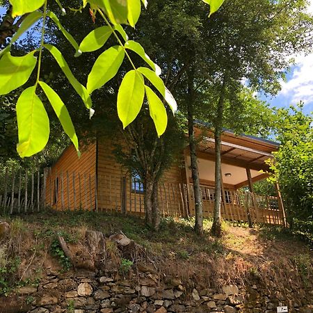 Camping Moulin De Chaules Saint-Constant Esterno foto